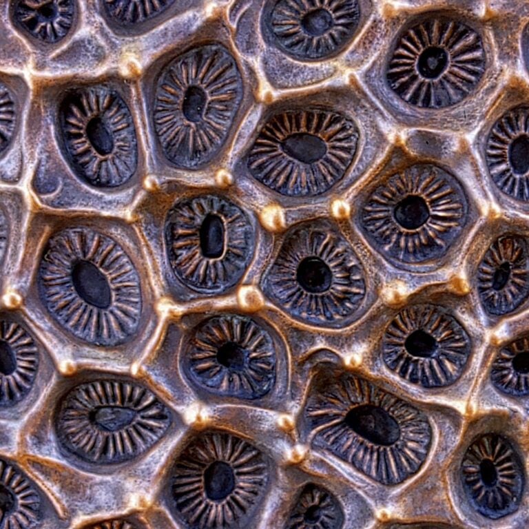 Metal Art and Sculpture Element 29 repousse copper coral back 4